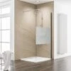 Schulte Duschwand Walk In M6 MasterClass Chromoptik BxHxT 120 X 200 Cm -Home Bathroom 4060991003073 2053 01
